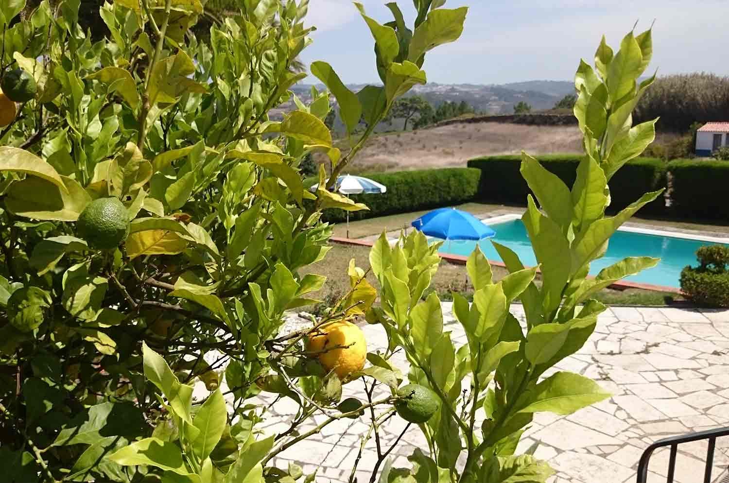 outdoor_03